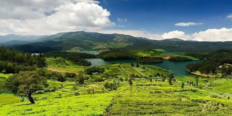 Ooty Tour Packages Chennai, Affordable Ooty Tour Chennai, Ooty Hill Station Tour from Chennai, Best Ooty Tour Packages Chennai, Chennai to Ooty Trip, Ooty Weekend Getaway from Chennai, Comfortable Ooty Tour Chennai, Budget-Friendly Ooty Tour Chennai, Carsedge Ooty Tour Service, Self-Drive Ooty Tour Chennai, Chauffeur-Driven Ooty Trip, Chennai to Ooty Car Rental, Ooty Sightseeing Tour from Chennai, Ooty Family Tour Chennai, Ooty Honeymoon Tour Packages Chennai, Ooty Adventure Tour Chennai